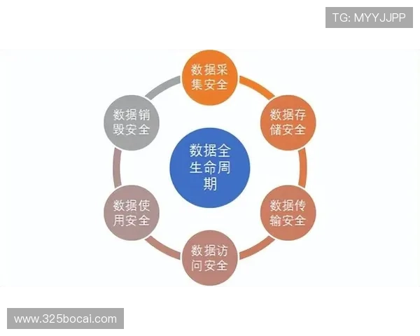 深入分析安信APP的安全性及用户隐私保护措施